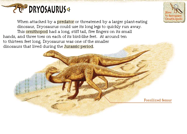 Dryosaurus