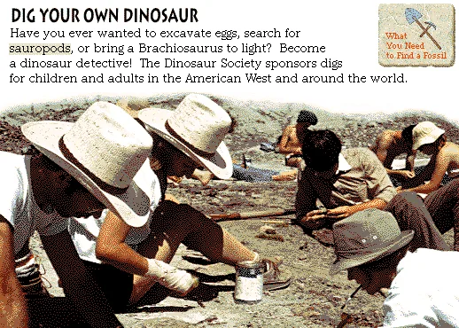 Dig Your Own Dinosaur