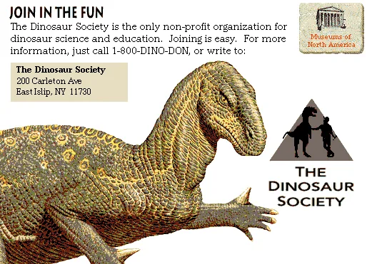 Join in the Fun