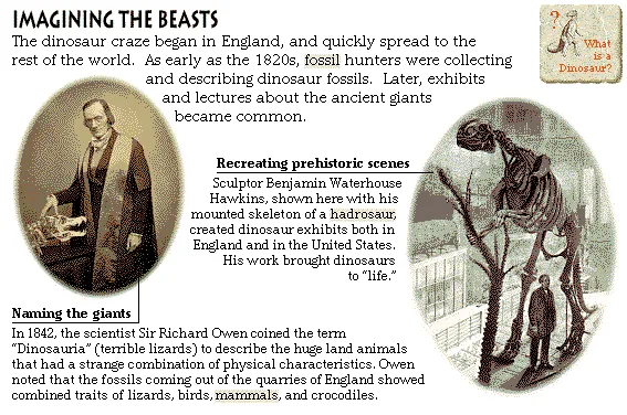 Imagining the Beasts