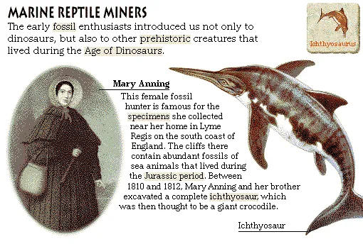 Marine Reptile Miners