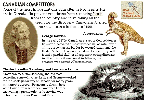 Canadian Competitors