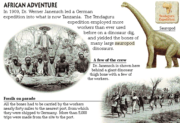 African Adventure