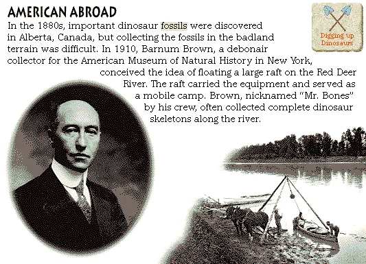 American Abroad