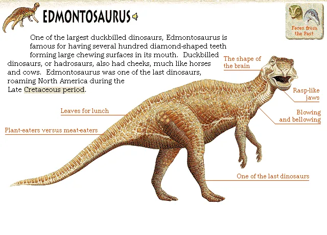 Edmontosaurus