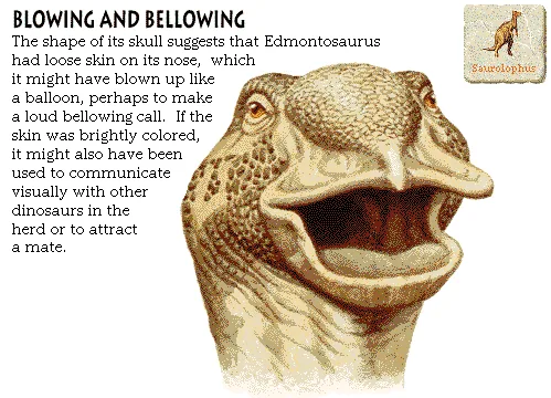 Blowing and Bellowing