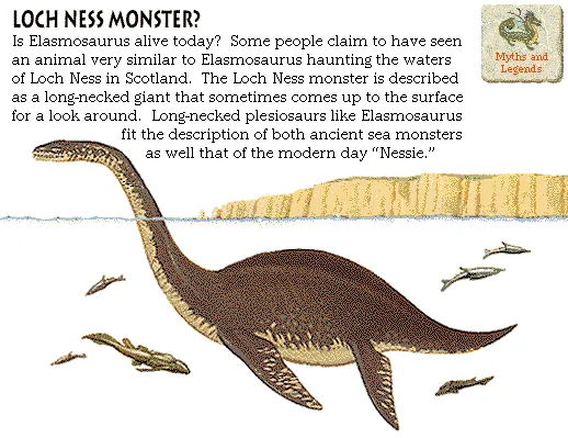 Loch Ness Monster?