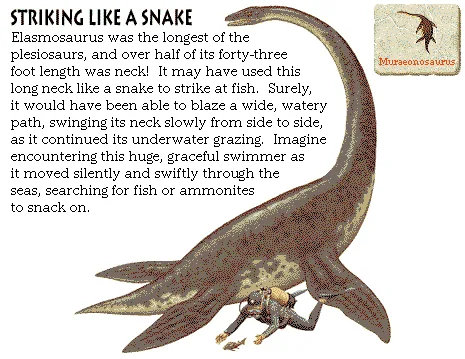 Striking Like a Snake