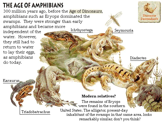 The Age of Amphibians