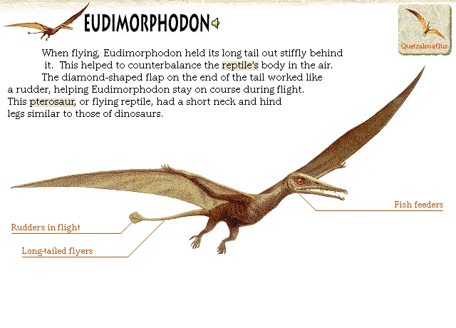 Eudimorphodon