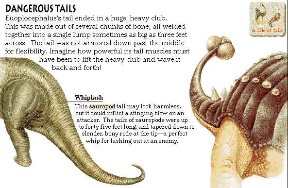 Dangerous Tails
