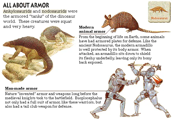 All About Armor