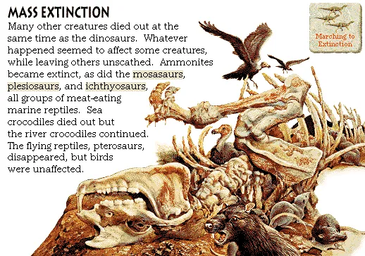 Mass Extinction