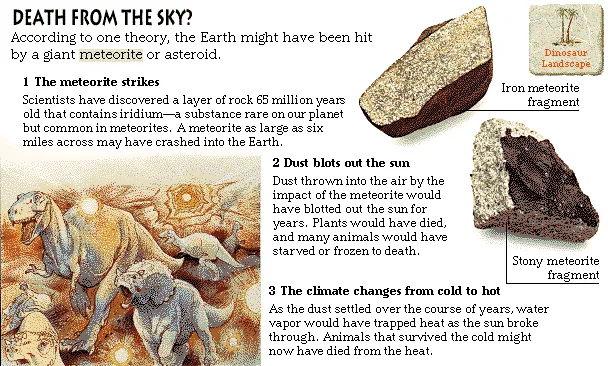Death from the Sky?