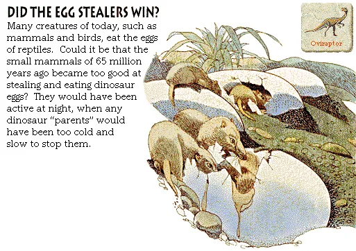 Did the Egg Stealers Win?