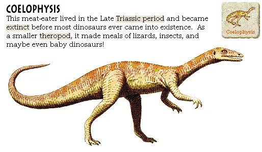 Coelophysis
