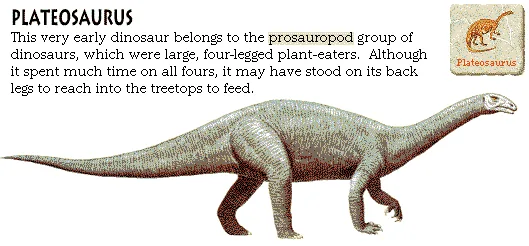 Plateosaurus