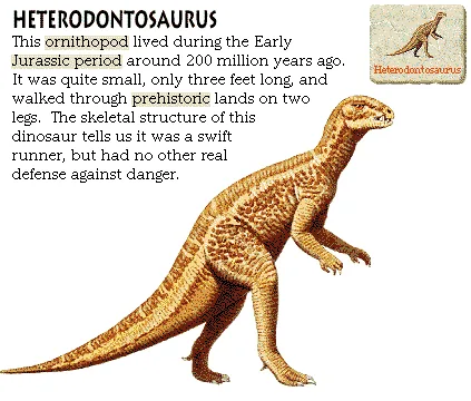 Heterodontosaurus