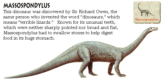 Massospondylus