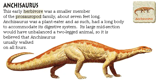 Anchisaurus