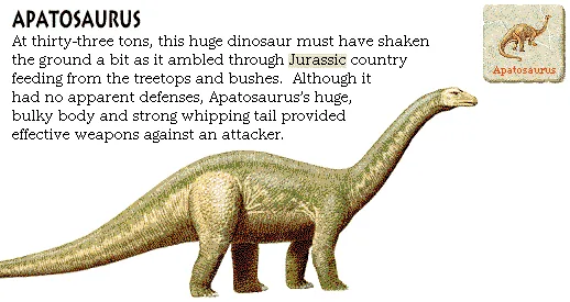 Apatosaurus