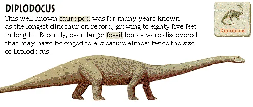 Diplodocus