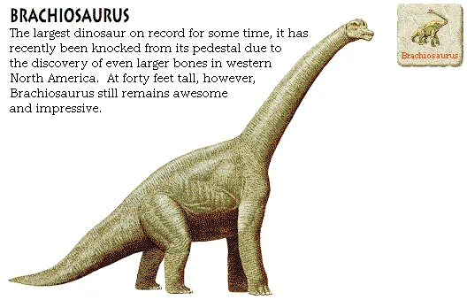Brachiosaurus