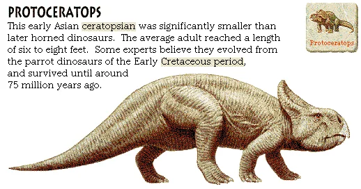 Protoceratops