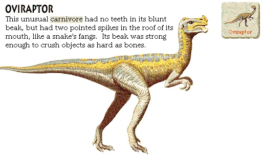 Oviraptor