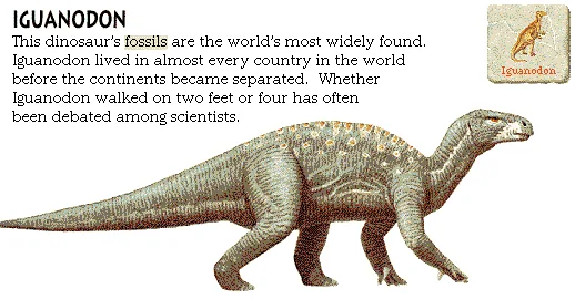 Iguanodon