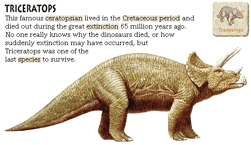 Triceratops