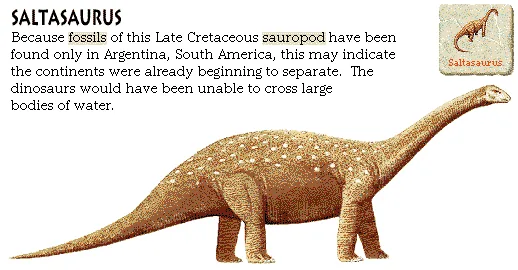 Saltasaurus