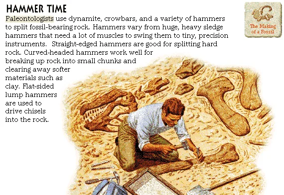 Hammer Time
