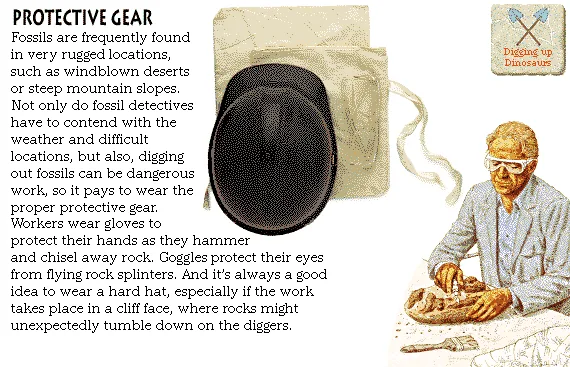 Protective Gear