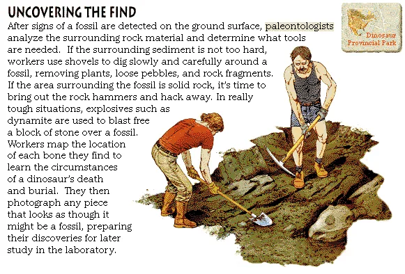 Uncovering the Find