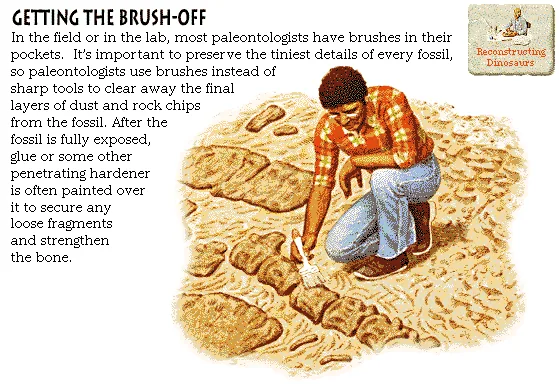 Getting the Brush-Off