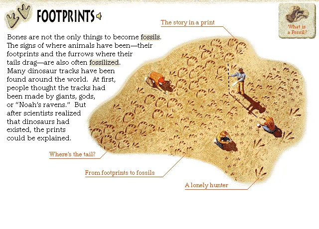 Footprints