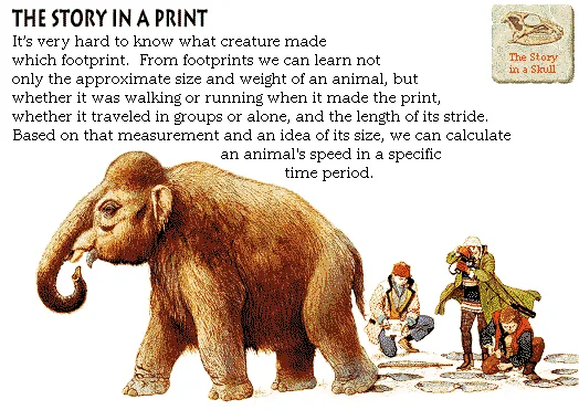 The Story in a Print
