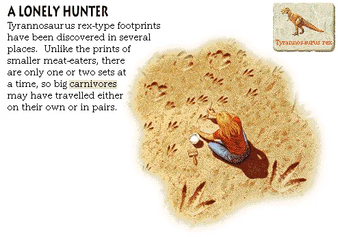 A Lonely Hunter