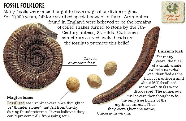 Fossil Folklore