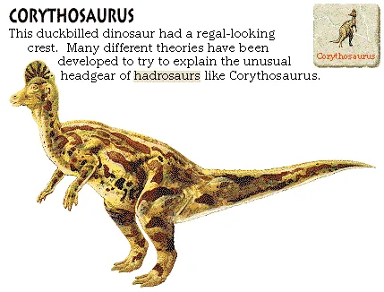 Corythosaurus
