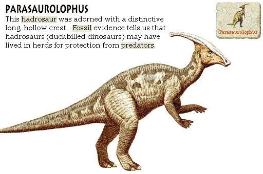 Parasaurolophus