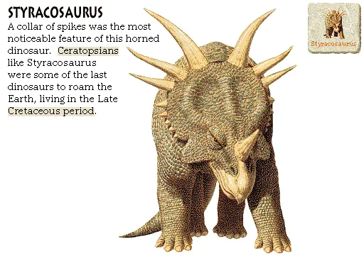 Styracosaurus