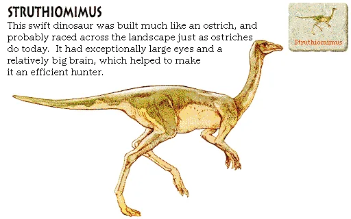 Struthiomimus
