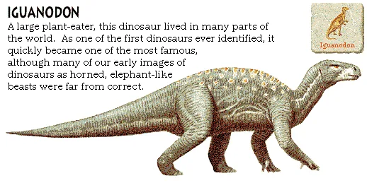 Iguanodon