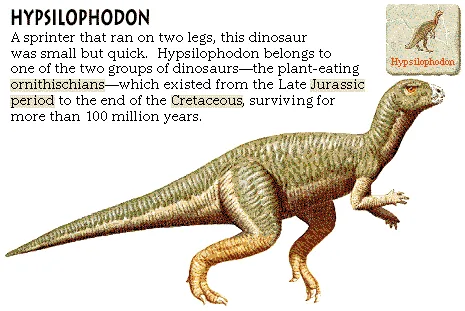 Hypsilophodon
