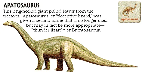 Apatosaurus