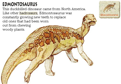 Edmontosaurus