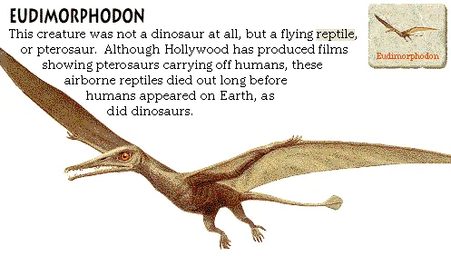 Eudimorphodon