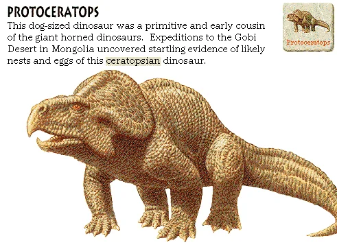 Protoceratops